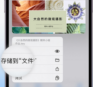 运粮湖管理区apple维修中心分享iPhone文件应用中存储和找到下载文件