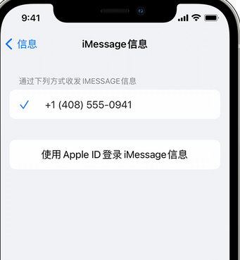 运粮湖管理区apple维修iPhone上无法正常发送iMessage信息 