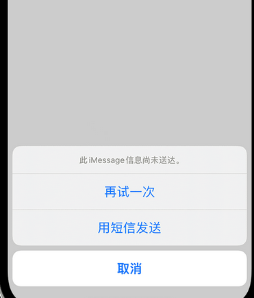 运粮湖管理区apple维修iPhone上无法正常发送iMessage信息