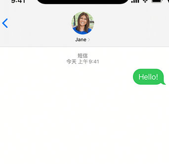 运粮湖管理区apple维修iPhone上无法正常发送iMessage信息