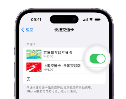 运粮湖管理区apple维修点分享iPhone上更换Apple Pay快捷交通卡手绘卡面 