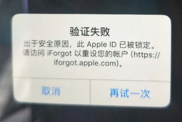 运粮湖管理区iPhone维修分享iPhone上正常登录或使用AppleID怎么办 