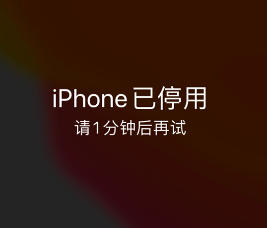 运粮湖管理区苹果手机维修分享:iPhone 显示“不可用”或“已停用”怎么办？还能保留数据吗？ 