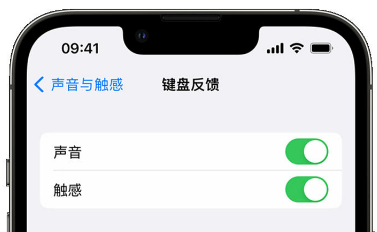 运粮湖管理区苹果手机维修分享iPhone 14触感键盘使用方法 