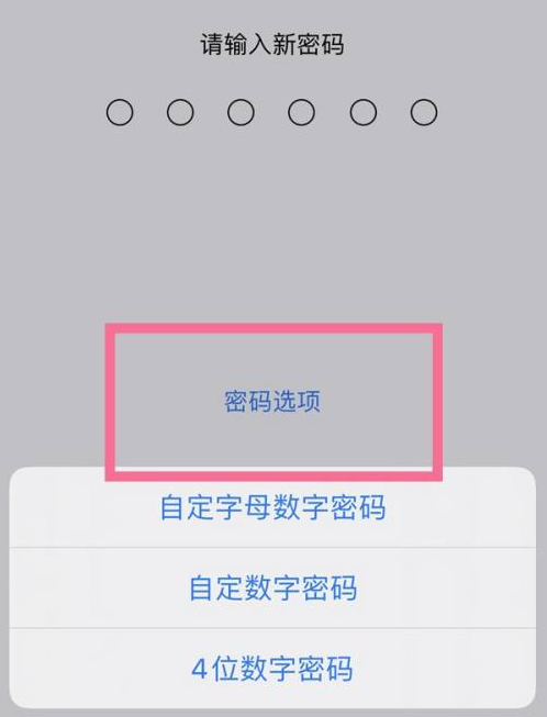 运粮湖管理区苹果14维修分享iPhone 14plus设置密码的方法 