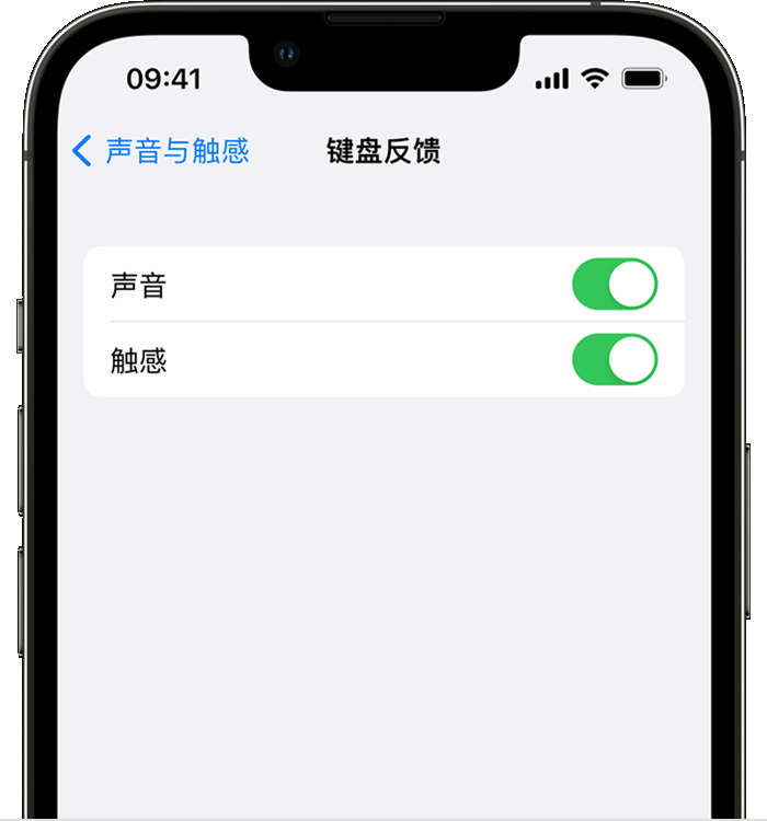 运粮湖管理区苹果14维修分享iPhone 14 系列机型如何开启键盘声音或触感反馈 
