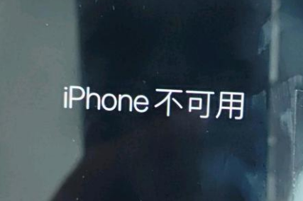 运粮湖管理区苹果服务网点分享锁屏界面显示“iPhone 不可用”如何解决 