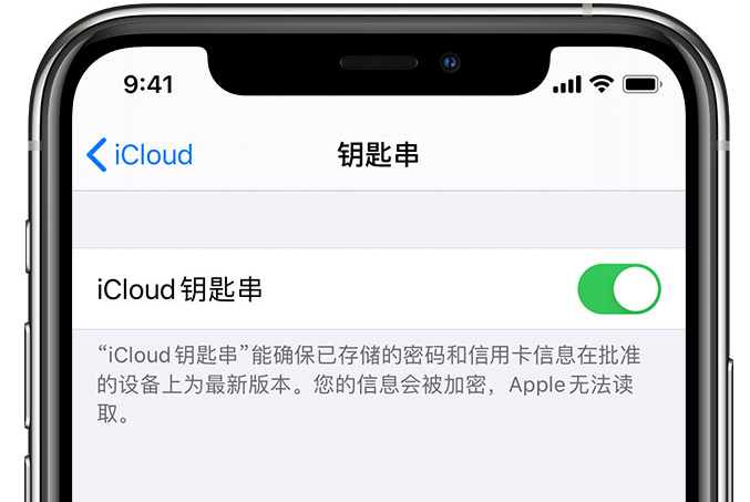 运粮湖管理区苹果手机维修分享在 iPhone 上开启 iCloud 钥匙串之后会储存哪些信息 