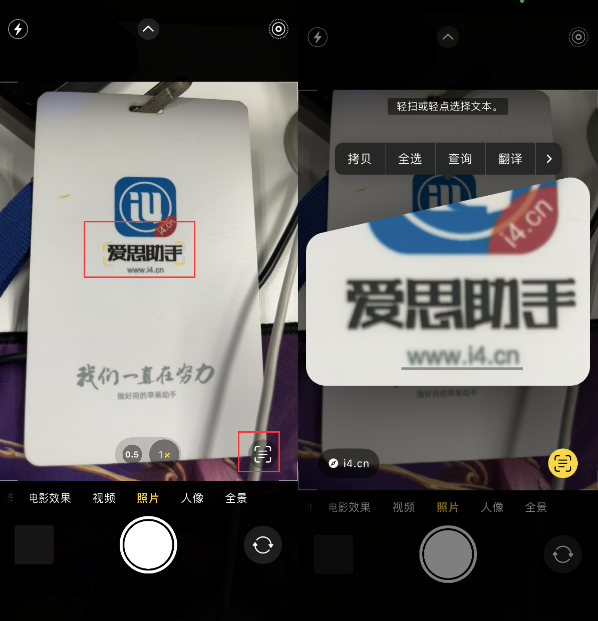 运粮湖管理区苹果手机维修分享升级iOS 16后如何通过相机翻译文本 