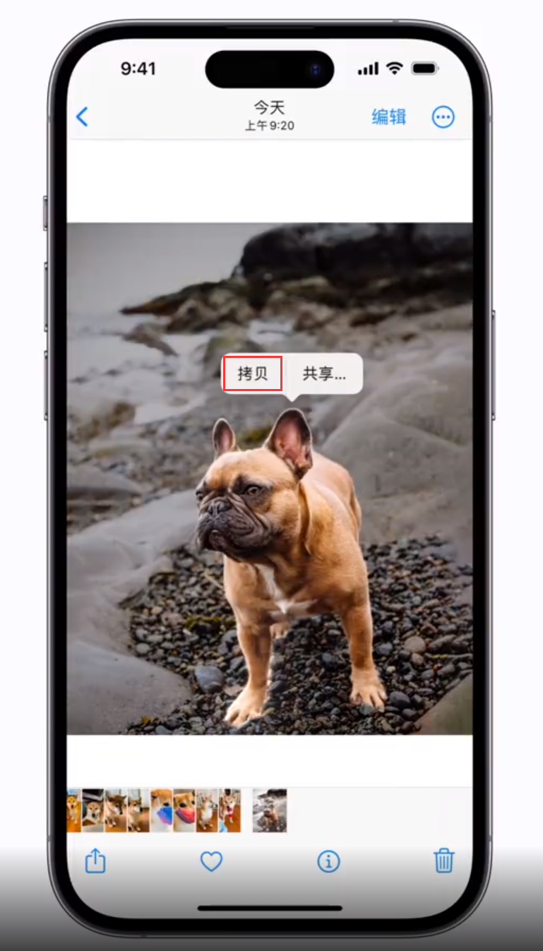 运粮湖管理区 苹果手机维修分享iOS 16 “照片”应用更新内容与改进汇总 