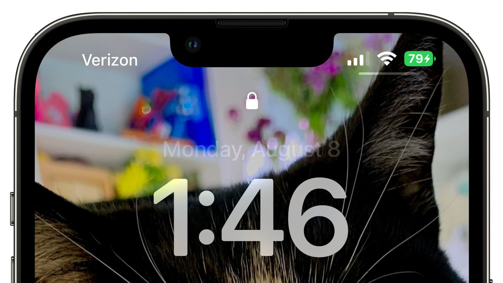 运粮湖管理区苹果手机维修分享iOS 16 beta 5 支持状态栏显示电池百分比，如何开启？支持哪些机型 