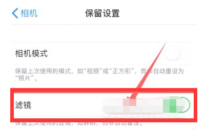 运粮湖管理区苹果13维修分享iPhone13拍照有绿点是怎么回事 