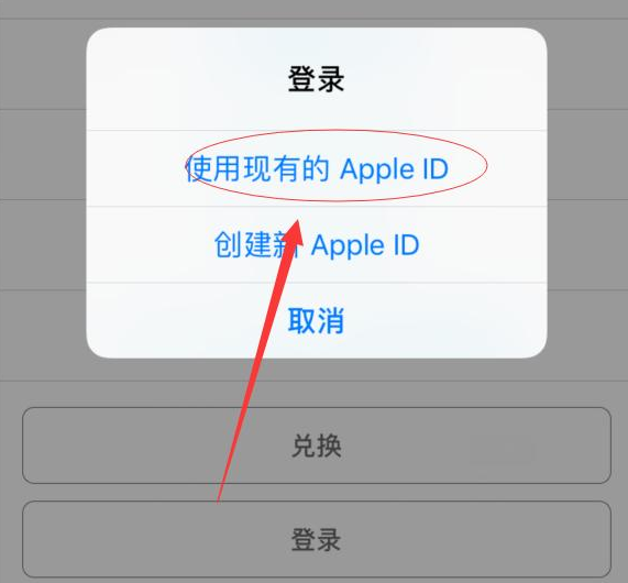 运粮湖管理区苹果手机维修分享两台iPhone设备可以同时登录一个Apple ID吗 