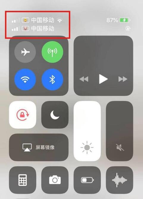 运粮湖管理区苹果手机维修分享为 iPhone 12 双卡设置标签 